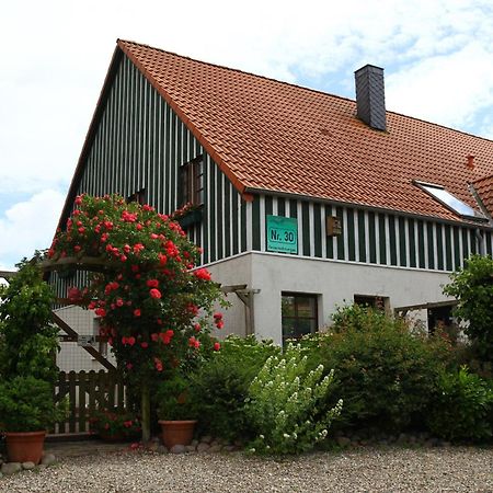 Haus Wildgans - Ferienwohnung Sonnenblume Behrensdorf Ngoại thất bức ảnh