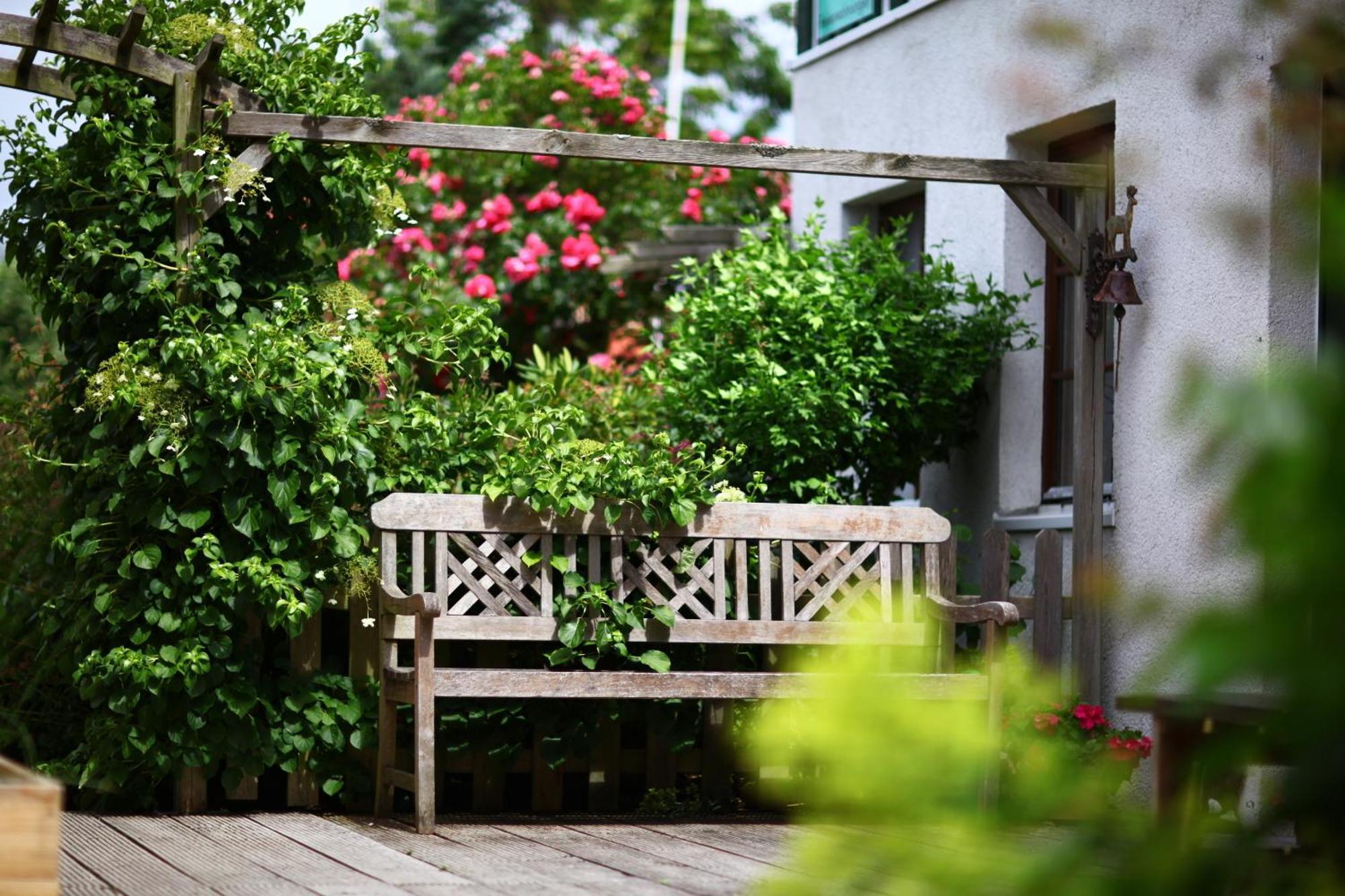 Haus Wildgans - Ferienwohnung Sonnenblume Behrensdorf Ngoại thất bức ảnh